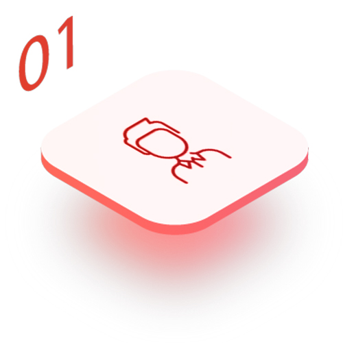 01 (1)