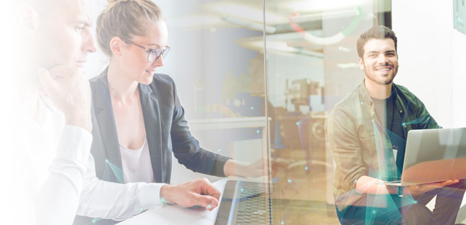 IT Assessment and Consultancy in Avianet