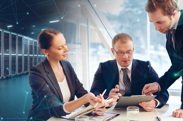 IT Assessment and Consultancy Services
